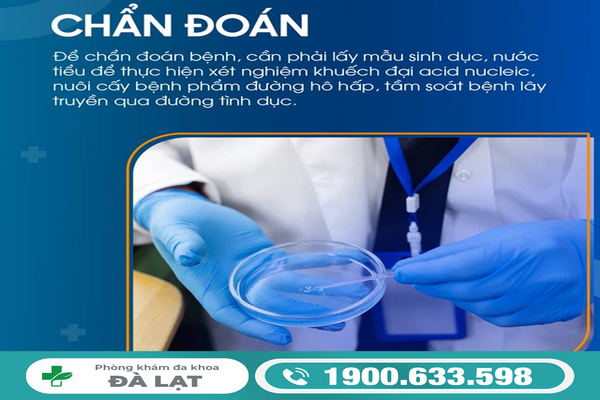 Hình ảnh minh họa