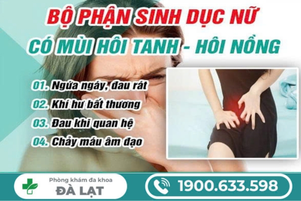 Hình ảnh minh họa
