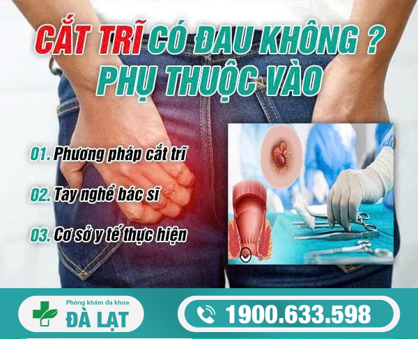 Hình ảnh minh họa