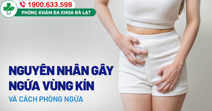 Hình ảnh minh họa