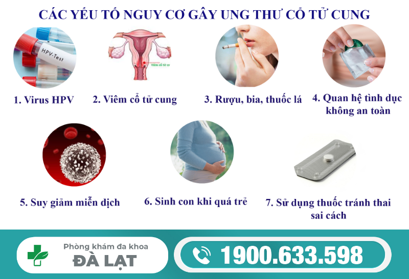 Hình ảnh minh họa