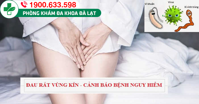 Hình ảnh minh họa