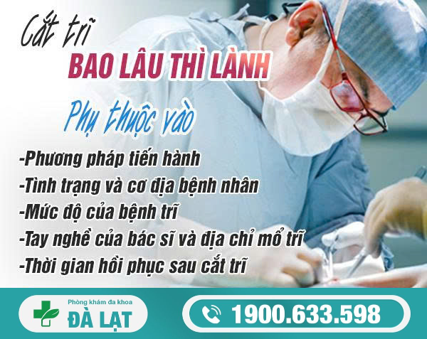 Hình ảnh minh họa
