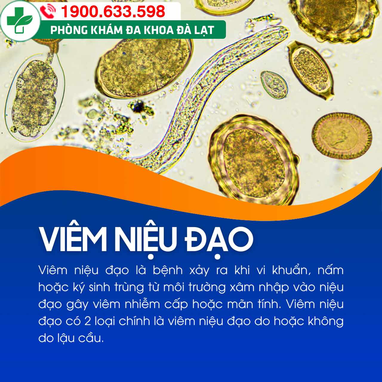 Hình ảnh minh họa